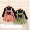 Girl's Korean Style Long Sleeve Round Neck Bow Print Plaid Frock